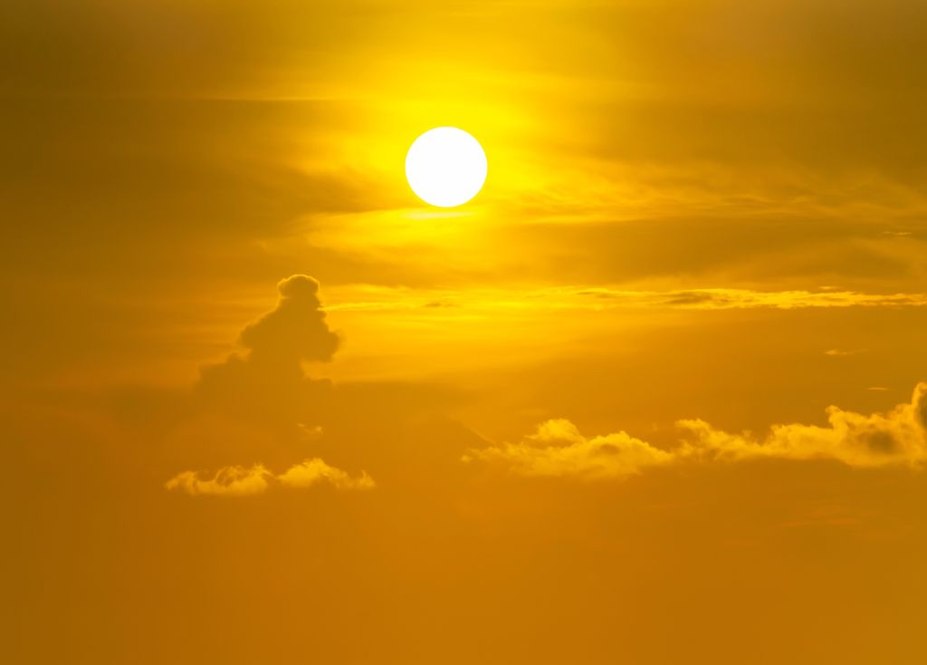 Amazônia enfrenta mudança climática inédita com secas recorrentes e calor extremo que ameaçam árvores, a biodiversidade e o papel da floresta.