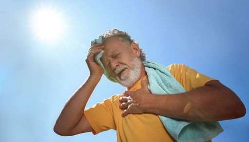 Calor extremo hacia 2050: las regiones donde sudar dejar&aacute; de enfriar el cuerpo, seg&uacute;n la NASA