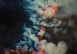 Calor extremo potencia la temporada de incendios en Siberia