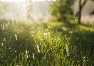 Calor extremo y lluvias dispersas para esta semana