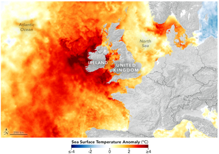 Calor récord y prolongada ola de calor marina en las aguas del noroeste de Europa: consecuencias