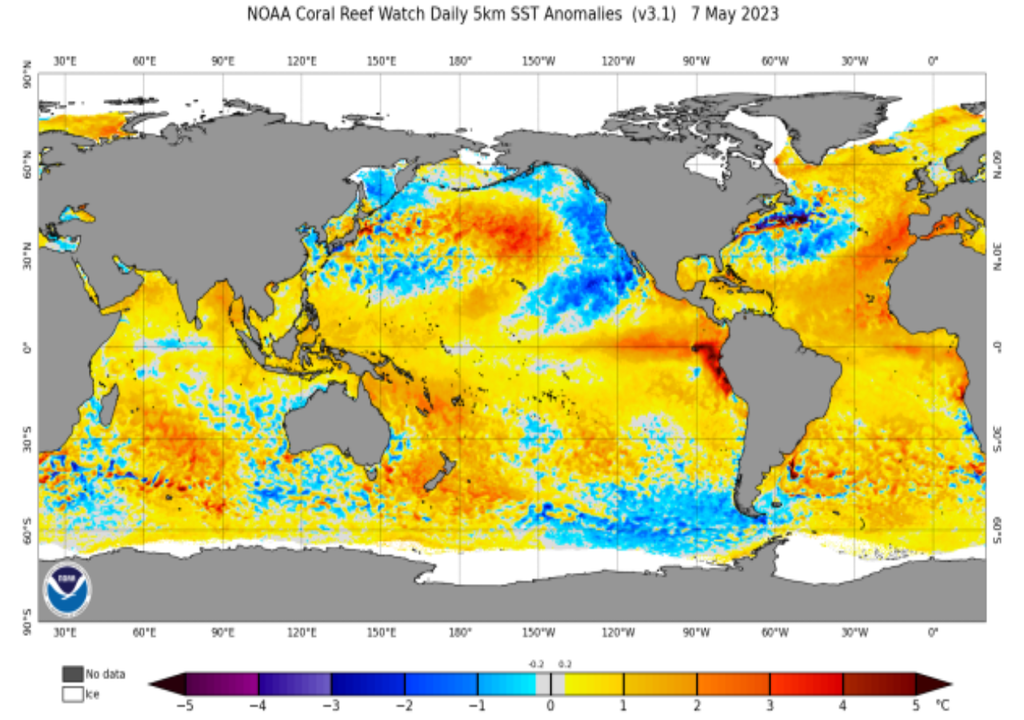 Temperatura océanos ola de calor