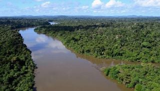 C&acirc;mara aprova redu&ccedil;&atilde;o de quase 40% em floresta nacional na Amaz&ocirc;nia