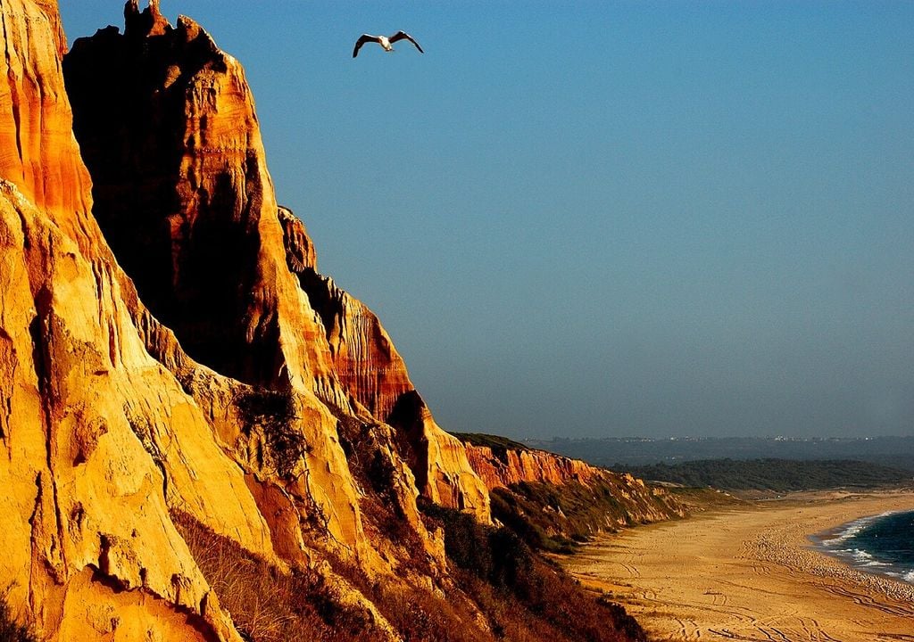 Paisagem protegida da Arriba Fóssil, Costa da Caparica, Almada