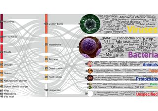 Cambio climático agrava más de la mitad de enfermedades infecciosas