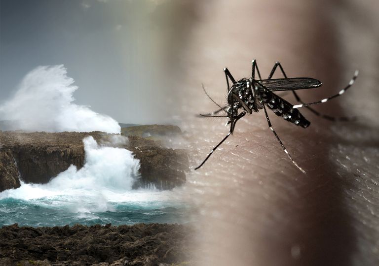 Cambio climático: ¿cómo está cambiando nuestra vida en España? Cambio climático: ¿cómo está cambiando nuestra vida en España?