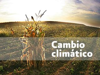Cambio climático: impacto sobre la agricultura y perspectivas de futuro 