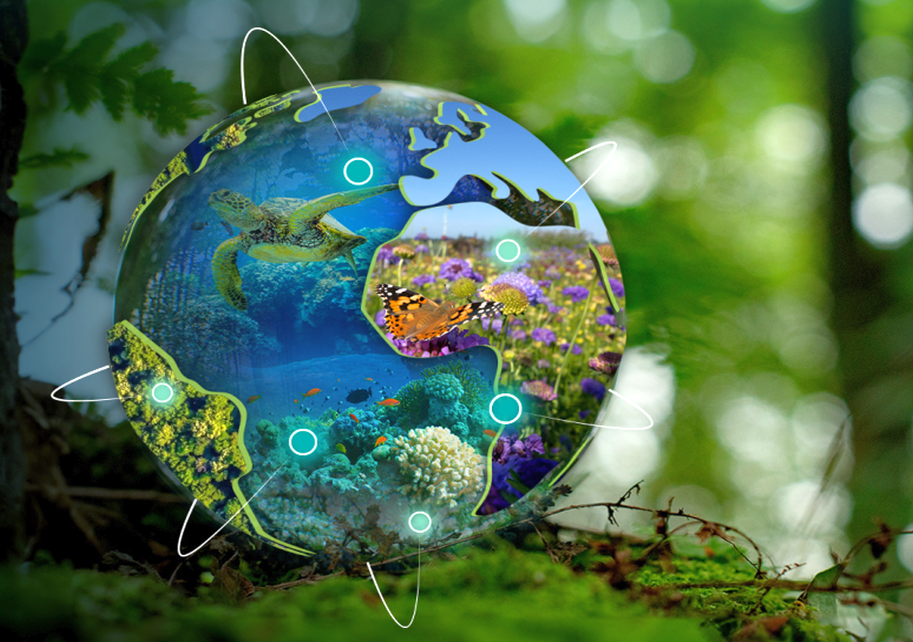 Los científicos apuntan que el cambio climático está acelerando la  migración de especies