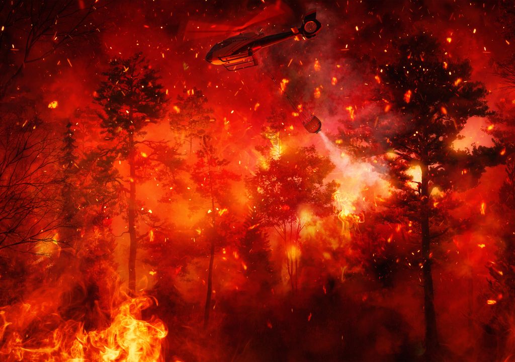 Incendios forestales