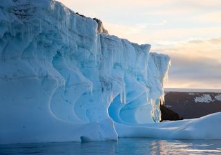 El cambio climático está intensificando las olas de calor antárticas