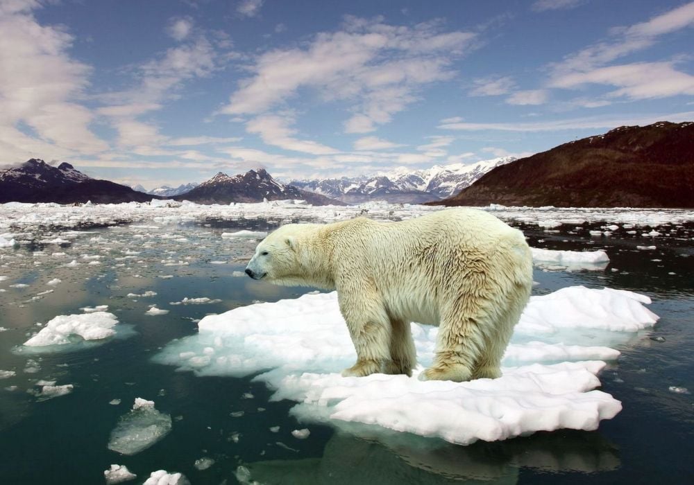 Cambio climático Calentamiento global Cambio climático Calentamiento global