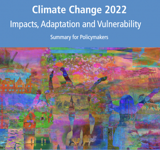 Cambio climático: una amenaza para el bienestar de la humanidad