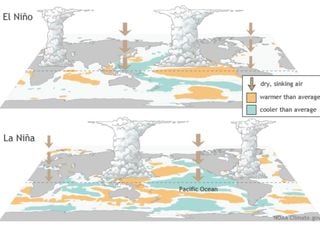 Le changement climatique actuel pourrait générer un El Niño permanent