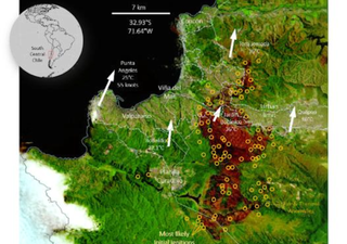 Cambio climático y calentamiento global aumentan riesgo de incendios forestales mortales en Chile central