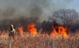 Cambio climático y los grandes incendios forestales