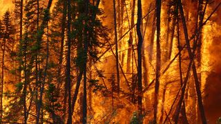 Cambio climático y riesgo de incendios forestales