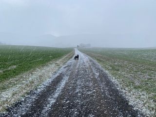 El pronóstico de febrero da otro vuelco, la lluvia podría volver a España a partir de este día
