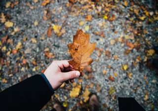 Cambios en la nubosidad y ascenso de temperatura en el fin de semana