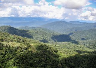 Cambios en la vegetación definieron las temperaturas globales