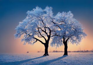 Cambios hacia posibles condiciones frías en México