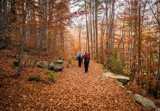 Lange Spaziergänge und Wanderungen im Winter: Wie man sich auf die Kälte vorbereitet