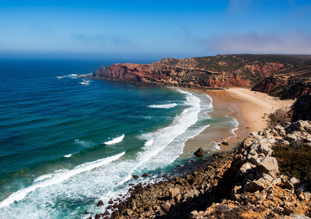 É o único local no mundo onde as cegonhas-brancas fazem os seus ninhos em arribas marinhas (rochas escarpadas sobre o mar), especialmente no Cabo Sardão.