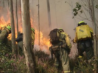 Campaña 2020 para la extinción de incendios forestales