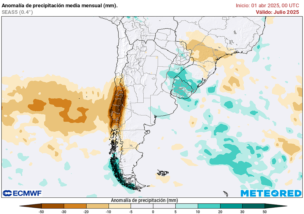 Trigo, Campaña, Agricultura, Agro, Ganadería, Campo, Pronóstico, Argentina