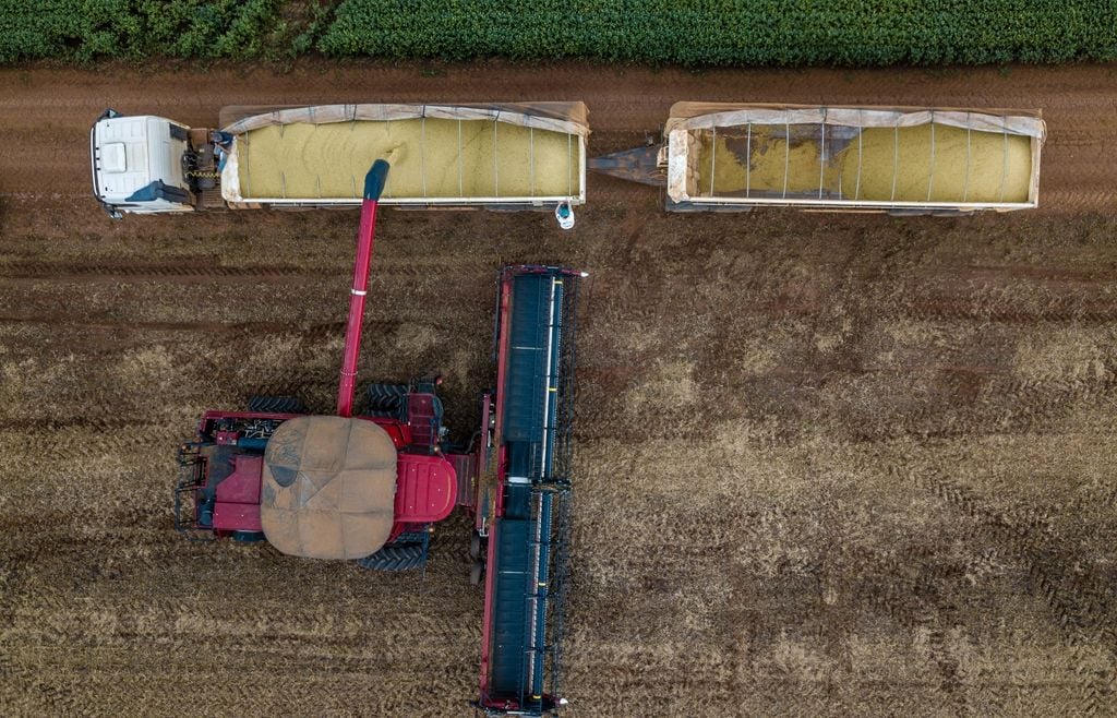 cosecha La campaña gruesa concentra la mayor parte de la superficie agrícola argentina y define buena parte del volumen exportable de granos del país.