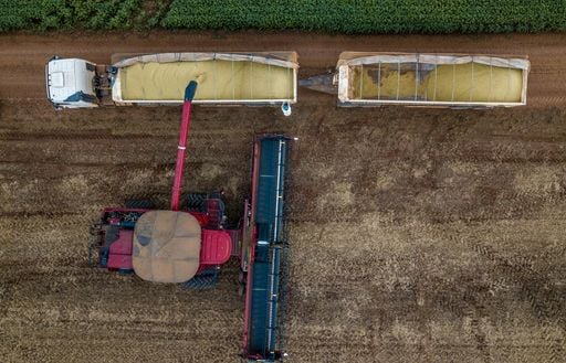 Campa&ntilde;a gruesa 2026/27: El Ni&ntilde;o cambia el mapa de siembra y Argentina vuelve a proyectar una cosecha r&eacute;cord