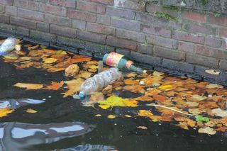 Campeonato mundial de cazadores de basura compitieron por un título inusual en Tokio
