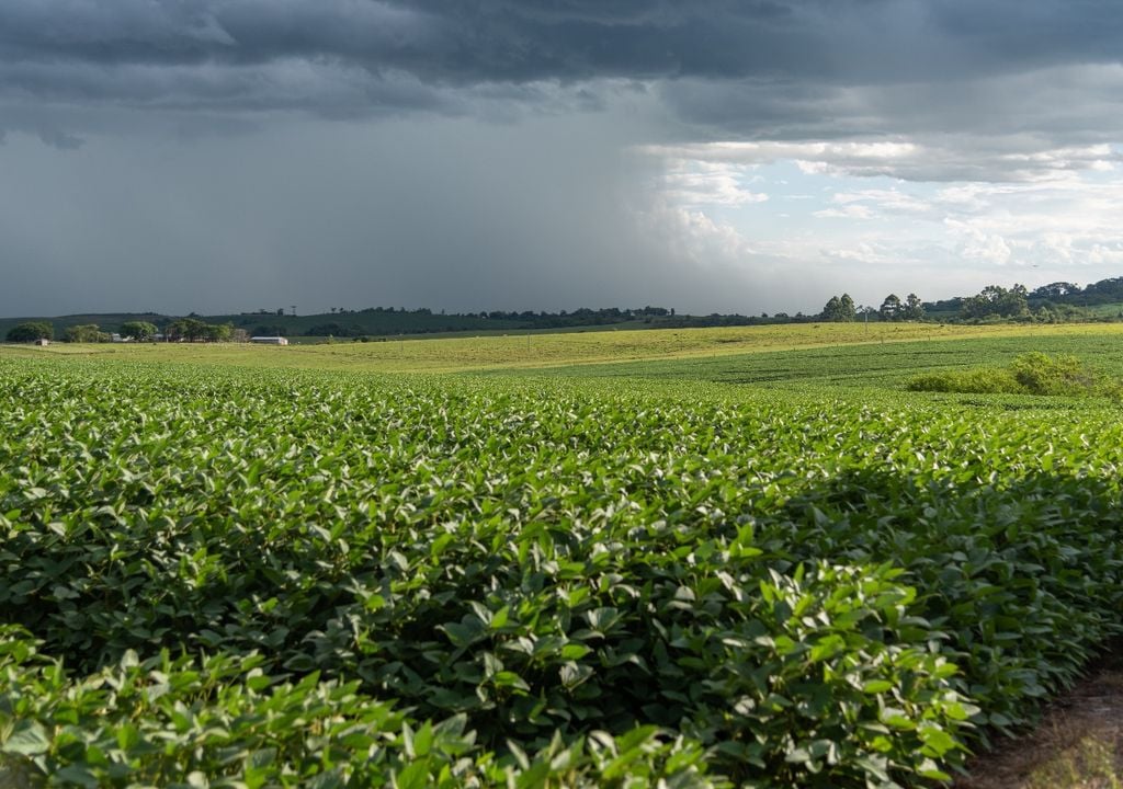 lluvias campo