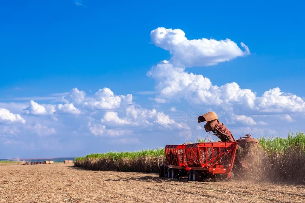 Sudeste, Matopiba Sudeste, Matopiba