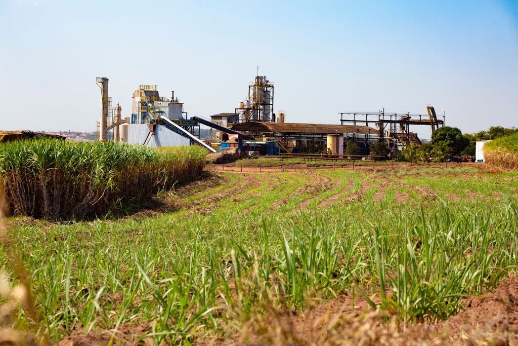 CONAB, cana CONAB, cana