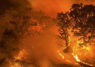 Canadá vive su segunda peor temporada de incendios forestales: ahora llegan donde antes no lo hacían