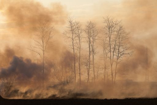 Unos químicos chinos: "los megaincendios en Canadá se relacionan con más de 70000 muertes prematuras en todo el mundo"