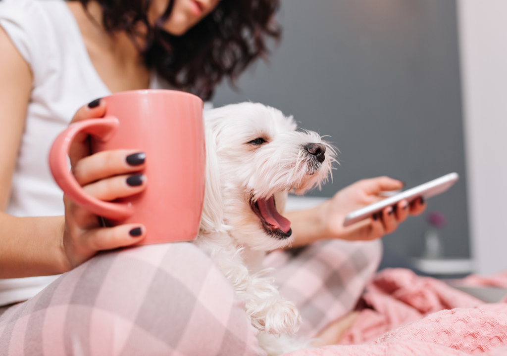 Mascotas El concepto de bienestar animal ya trasciende una bolsa de alimento y una visita ocasional al veterinario.