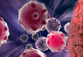 ¿Está relacionado el riesgo de cáncer con el tamaño de los seres vivos? Los científicos dan pistas a esta pregunta