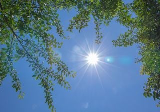  Canícula 2025 en México: ¿Estos serán los días más calurosos del año?