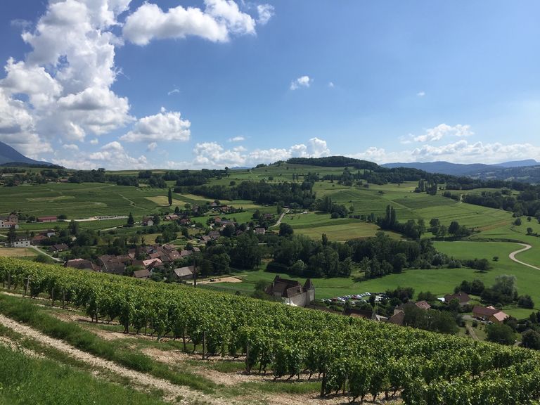 Dans l'arrière-pays méditerranéen, des pointes à 45°C à l'ombre sont attendues vendredi. Dans l'arrière-pays méditerranéen, des pointes à 45°C à l'ombre sont attendues vendredi.
