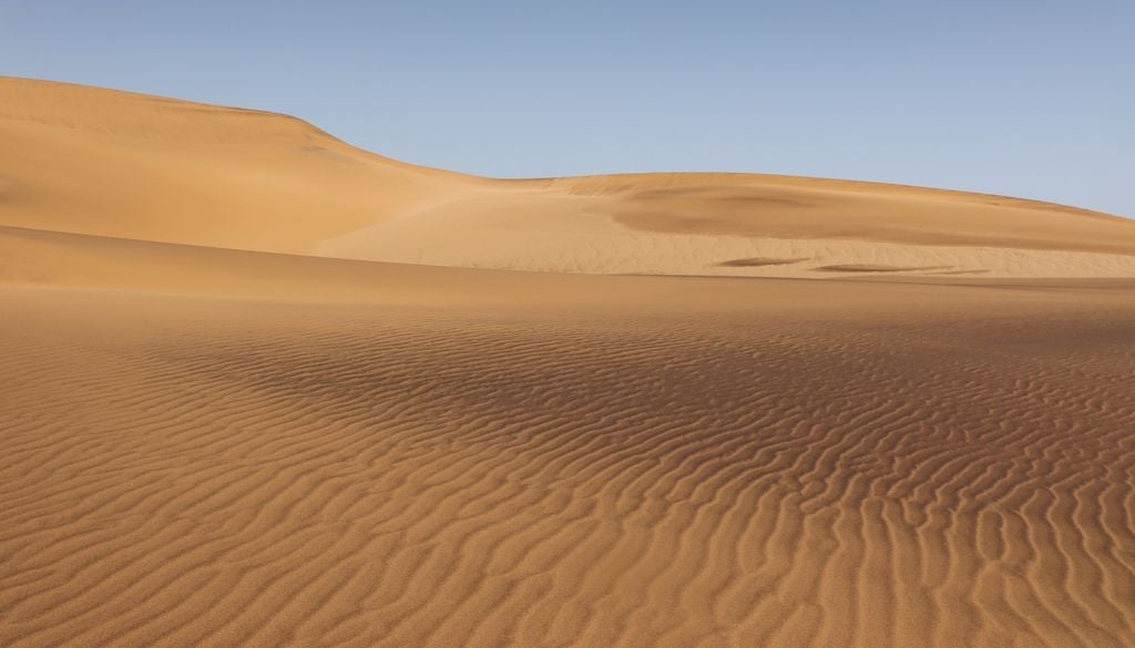 C'est dans le désert d'Arabie que le chercheur a compris les effets de la chaleur sur notre cerveau C'est dans le désert d'Arabie que le chercheur a compris les effets de la chaleur sur notre cerveau