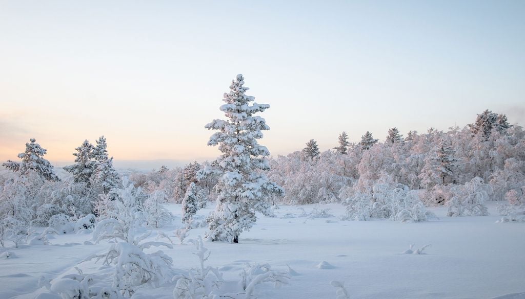 Les paysages froids ont été étudiés en comparaison aux environnements chauds Les paysages froids ont été étudiés en comparaison aux environnements chauds