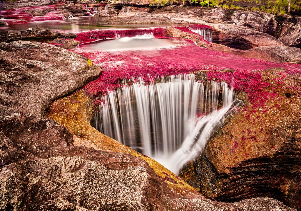 Río Caño Cristales, Parque Nacional Natural Sierra de La Macarena. Río Caño Cristales, Parque Nacional Natural Sierra de La Macarena.
