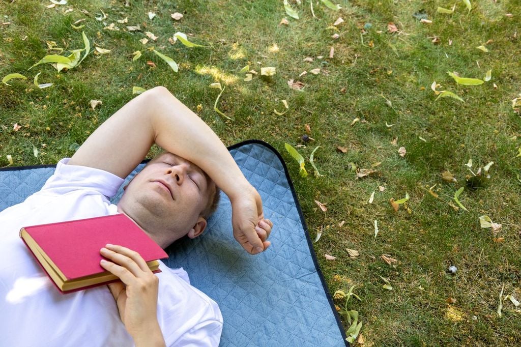 Especialistas recomiendan tomar una siesta para recuperar la atención y retomar fuerzas para la segunda parte del día. Especialistas recomiendan tomar una siesta para recuperar la atención y retomar fuerzas para la segunda parte del día.