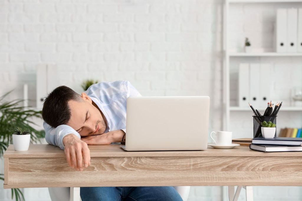 El cerebro requiere a mitad de la tarde una breve pausa para continuar coordinando y manteniendo la atención. El cerebro requiere a mitad de la tarde una breve pausa para continuar coordinando y manteniendo la atención.