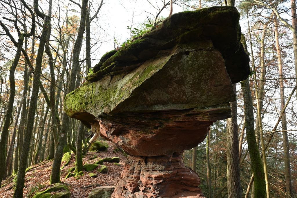 Die Natur als Bildhauer: Pilzförmige Sandsteinformation im Pfälzerwald. Foto: Adobe Stock