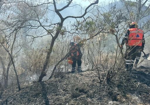 &iexcl;Caos en Perif&eacute;rico Sur! Fuerte incendio en Xochimilco moviliza a cuerpos de emergencia en Cafetales