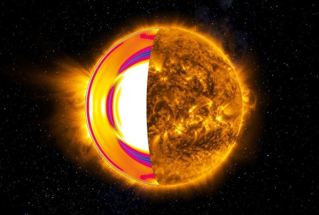Esquema del interior del Sol que muestra la tacoclina, la capa de transición donde se origina gran parte de su actividad magnética Corte esquemático del Sol. La mitad derecha muestra la actividad magnética de la superficie solar observada en el ultravioleta extremo, donde se revelan arcos coronales y regiones activas dominadas por el campo magnético. La mitad izquierda muestra el interior solar al “abrir” su superficie, ilustrando cómo varía la velocidad de rotación con la profundidad y la latitud. La región marcada con líneas azules discontinuas corresponde a la tacoclina, una capa de transición situada a unos 200.000 km de profundidad, donde ocurre una intensa variación de la velocidad de rotación. En este trabajo se describe con el mayor detalle alcanzado hasta el momento la estructura y dimensiones de esta región. El campo magnético solar se alimenta de la fuerte cizalla rotacional y de la complejidad dinámica de la tacoclina. La actividad magnética observada en la superficie solar tiene su origen en esta capa profunda del interior del Sol. Crédito: Gabriel Pérez Díaz (IAC).