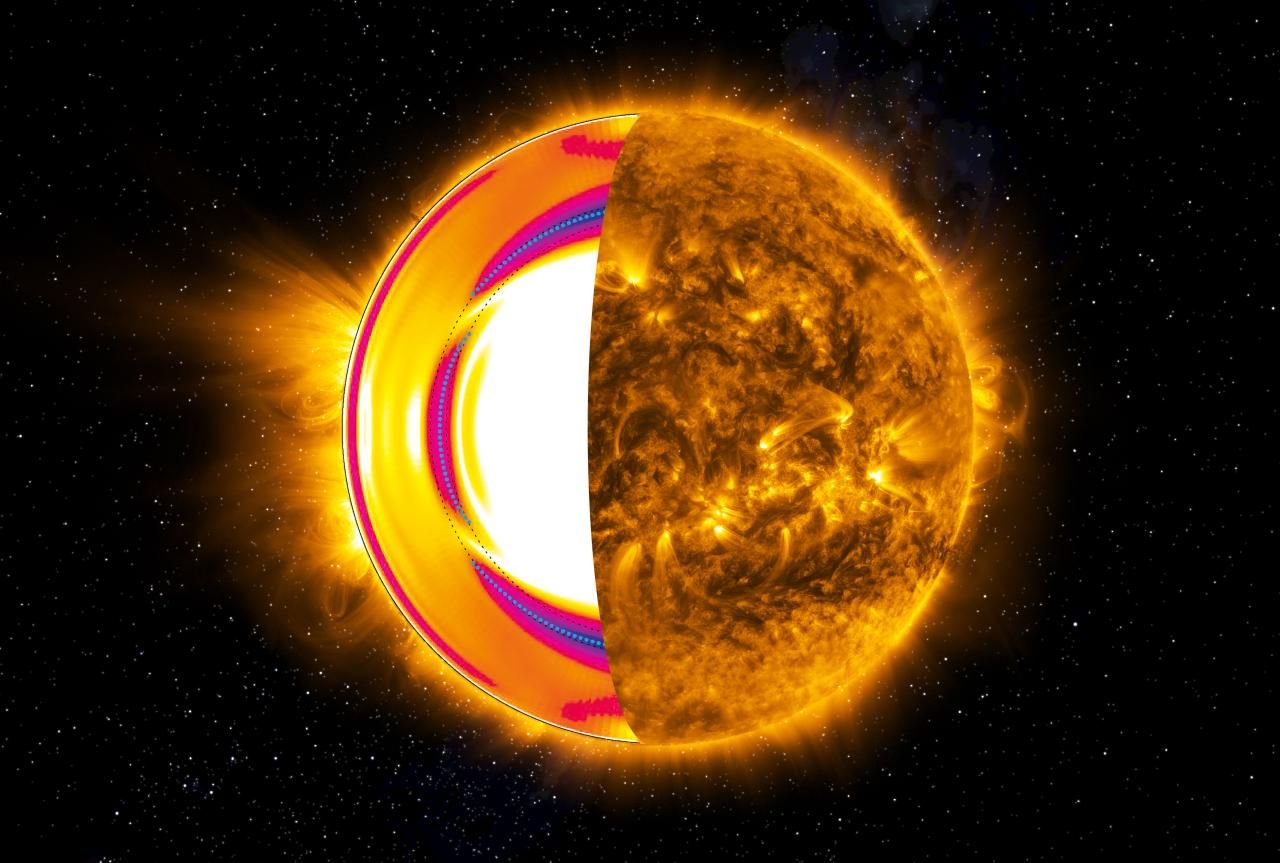 Esquema del interior del Sol que muestra la tacoclina, la capa de transición donde se origina gran parte de su actividad magnética Corte esquemático del Sol. La mitad derecha muestra la actividad magnética de la superficie solar observada en el ultravioleta extremo, donde se revelan arcos coronales y regiones activas dominadas por el campo magnético. La mitad izquierda muestra el interior solar al “abrir” su superficie, ilustrando cómo varía la velocidad de rotación con la profundidad y la latitud. La región marcada con líneas azules discontinuas corresponde a la tacoclina, una capa de transición situada a unos 200.000 km de profundidad, donde ocurre una intensa variación de la velocidad de rotación. En este trabajo se describe con el mayor detalle alcanzado hasta el momento la estructura y dimensiones de esta región. El campo magnético solar se alimenta de la fuerte cizalla rotacional y de la complejidad dinámica de la tacoclina. La actividad magnética observada en la superficie solar tiene su origen en esta capa profunda del interior del Sol. Crédito: Gabriel Pérez Díaz (IAC).