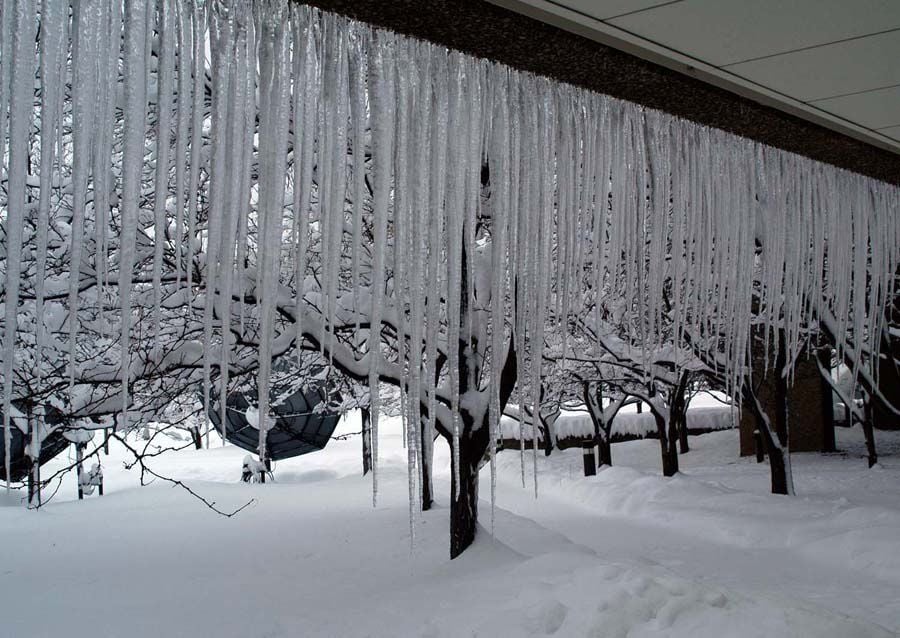 Caprichos Del Invierno. Parte I